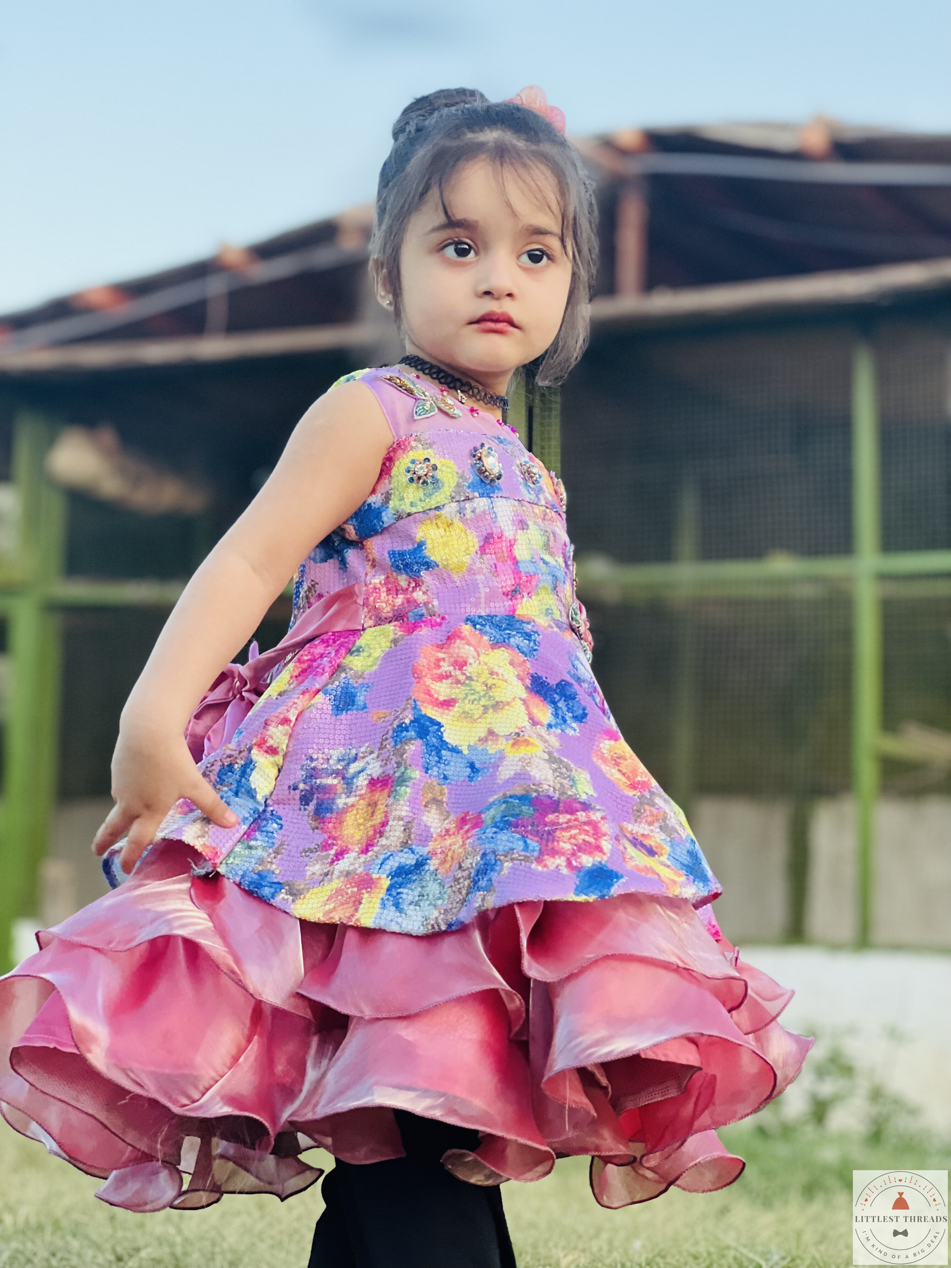 Elegant Fancy Frock